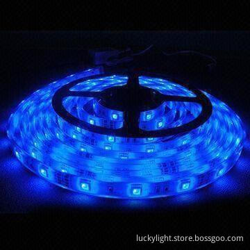 5050 Blue LED Strip Light with 12V DC Voltage, 5m/Roll
